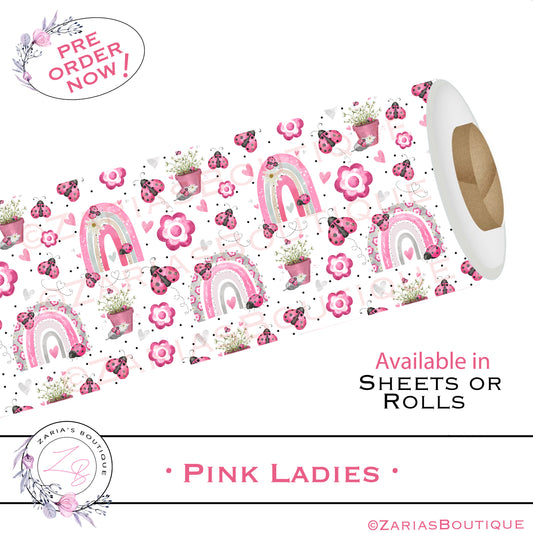 ⋅ Ladybug Rainbows ⋅ Embellishment ⋅ Flatback Resin ⋅ 2 Pieces ⋅