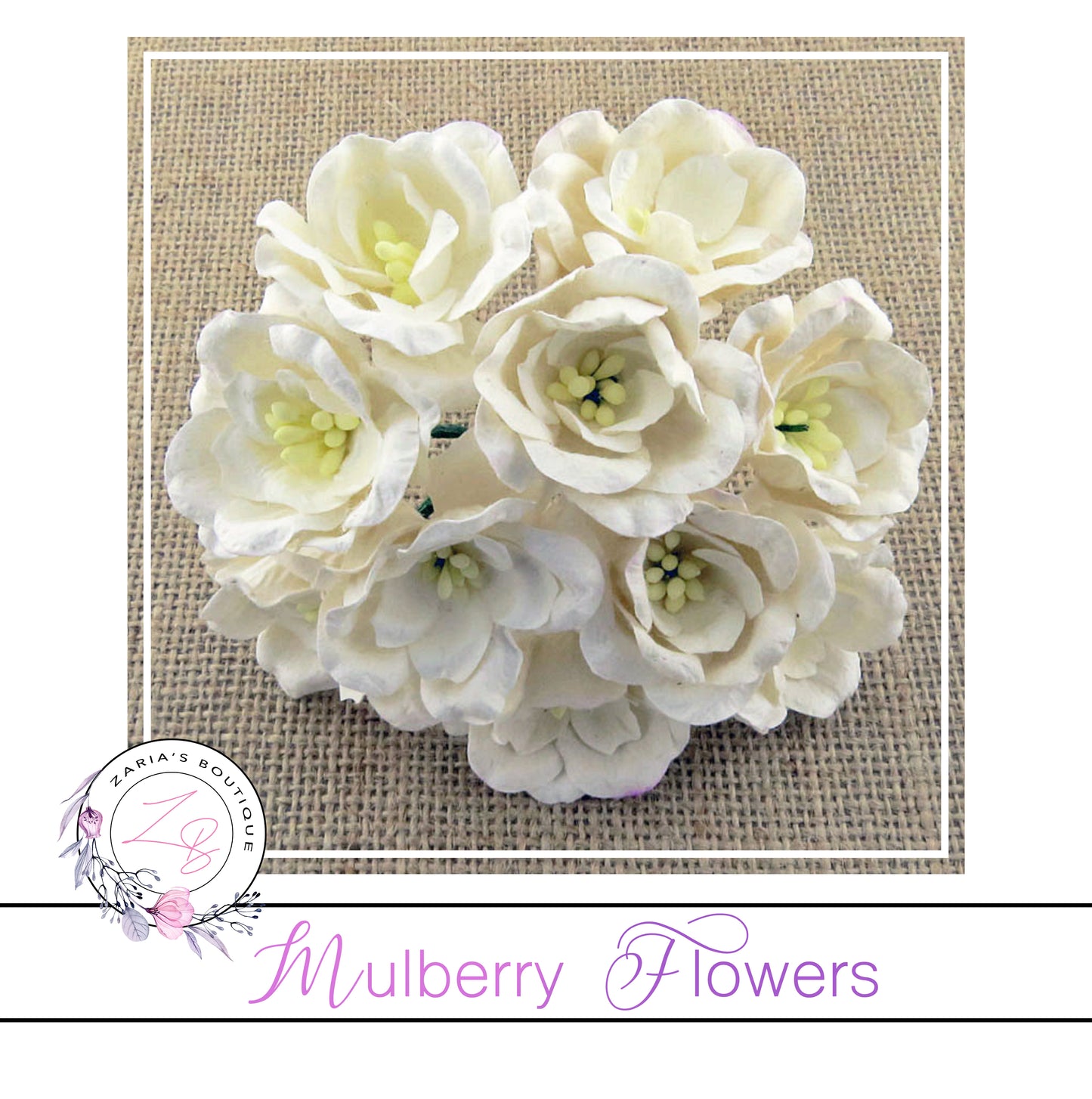 Mulberry Flowers ~ Magnolia ~ White ~ 35mm
